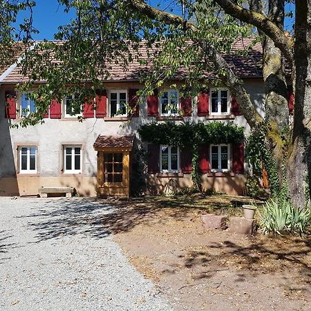 Bed and Breakfast Le Jardin Des Gouttes Rougegoutte Екстер'єр фото