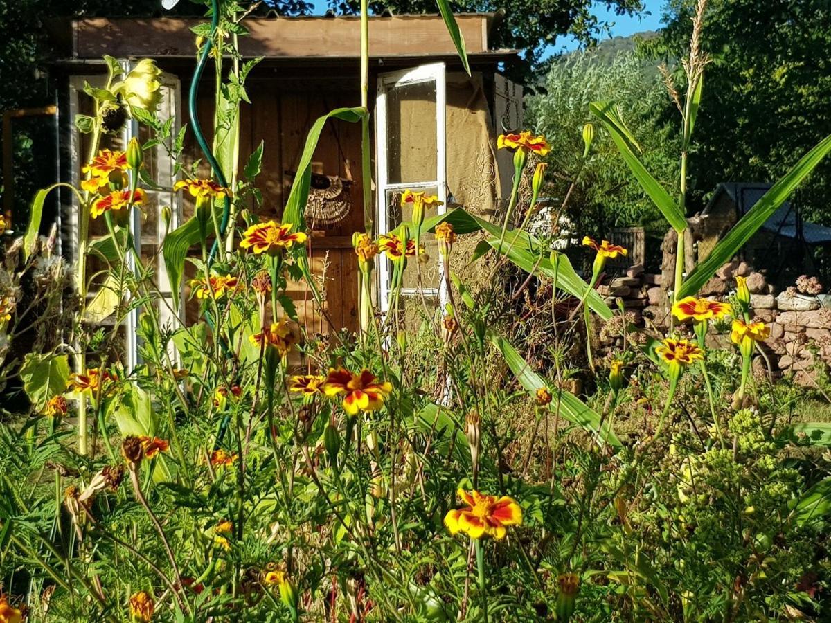 Bed and Breakfast Le Jardin Des Gouttes Rougegoutte Екстер'єр фото